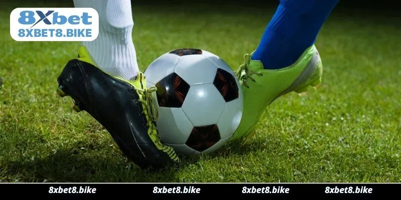 Cá cược bóng đá tại Thể Thao 8xbet